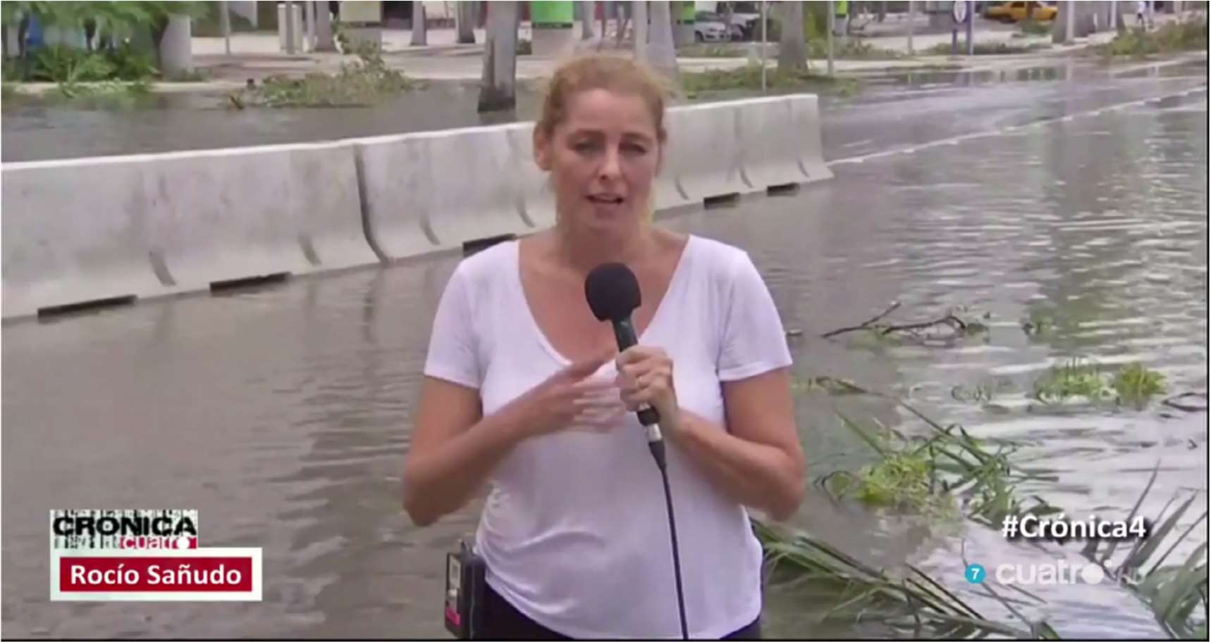Crónica Cuatro en Cuatro TV